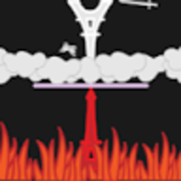 Meet your Posher, Elaina - Picture 1 of 1